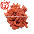 Goji proveedor Lycium chino seco lycium fruta secado al sol goji